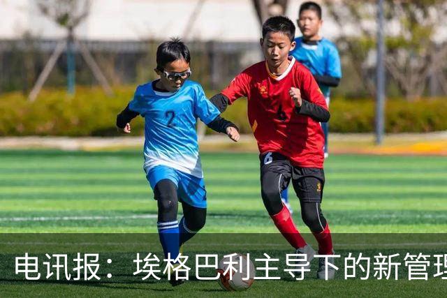 电讯报：埃格巴利主导下的新管理层正在研究斯坦福桥翻新还是搬迁